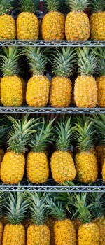 Ananas, Hawaii