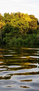 Amazonie, Brésil