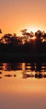 Coucher de soleil dans le Pantanal