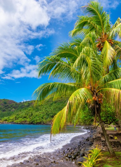 Plage de Nuku-Hiva, Marquises