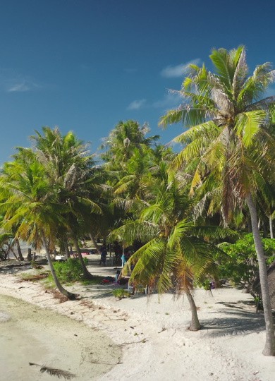 Rangiroa, Îles Tuamotu