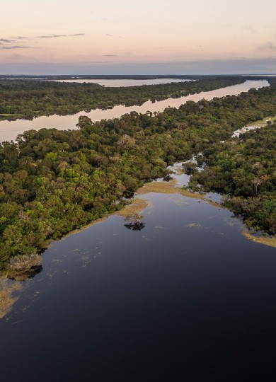 Amazonie, Brésil