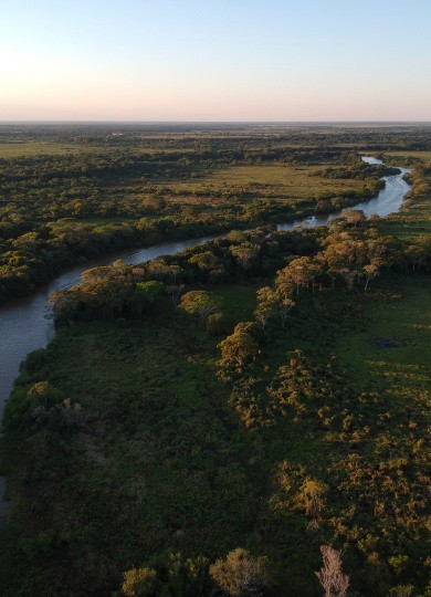 Pantanal, Brésil