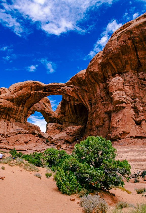 Parcs nationaux, USA