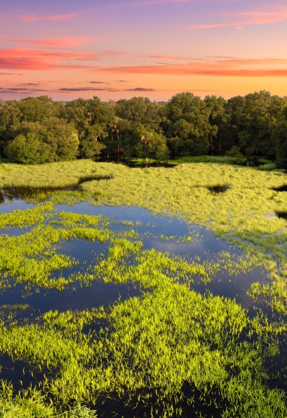 Floride, USA