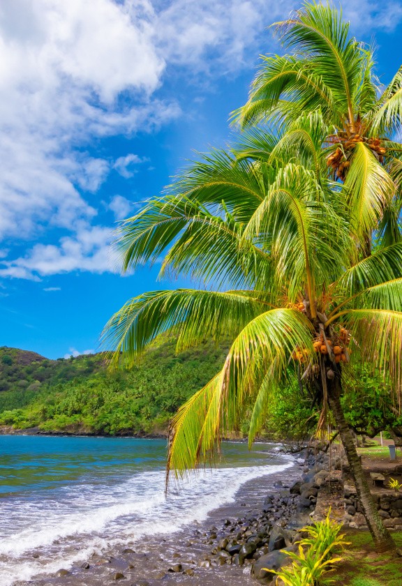 Plage de Nuku-Hiva, Marquises