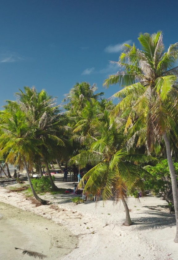 Rangiroa, Îles Tuamotu