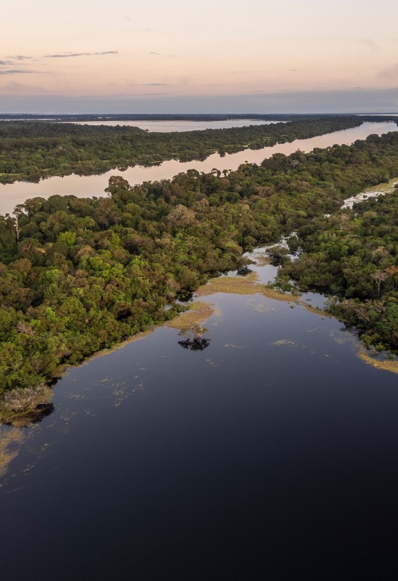 Amazonie, Brésil