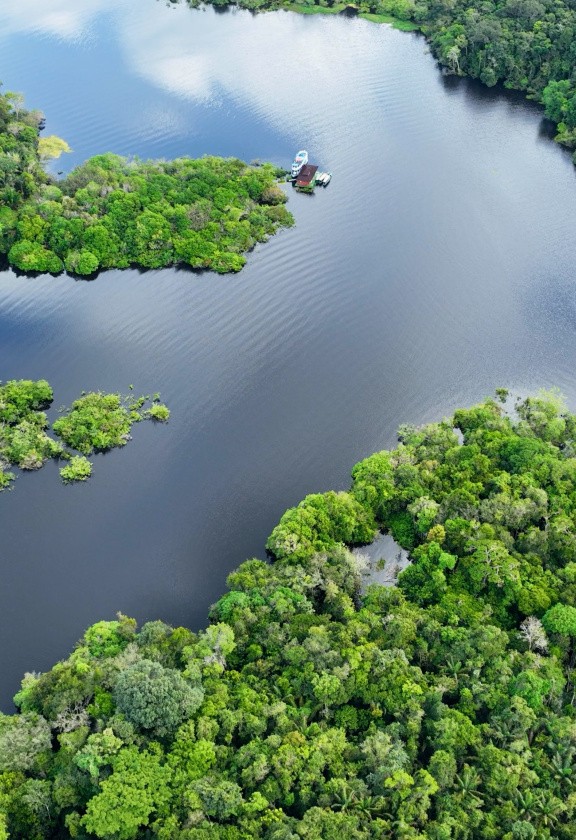 Amazonie, Brésil