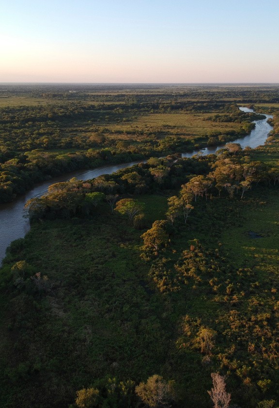 Pantanal, Brésil