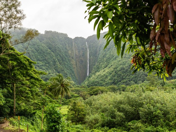 Big Island, Hawaii, USA