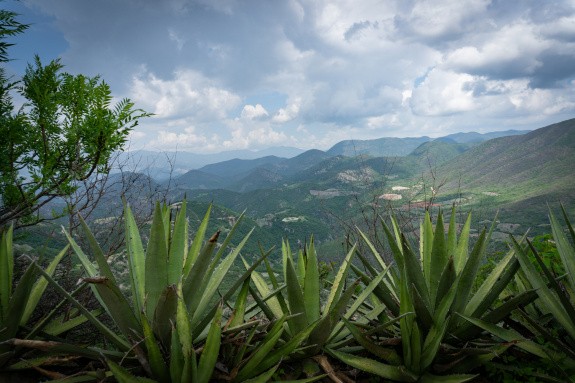 Oaxaca, Mexique