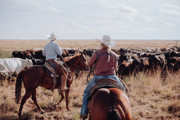 Ranch Texas, USA
