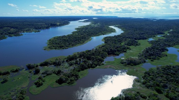 Amazonie, Brésil
