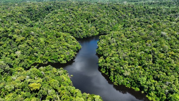 Amazonie, Brésil