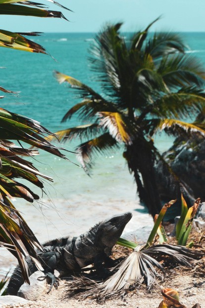Tulum, Mexique