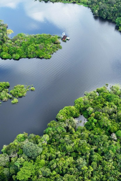 Amazonie, Brésil