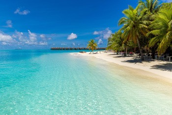 Plage, Tahiti